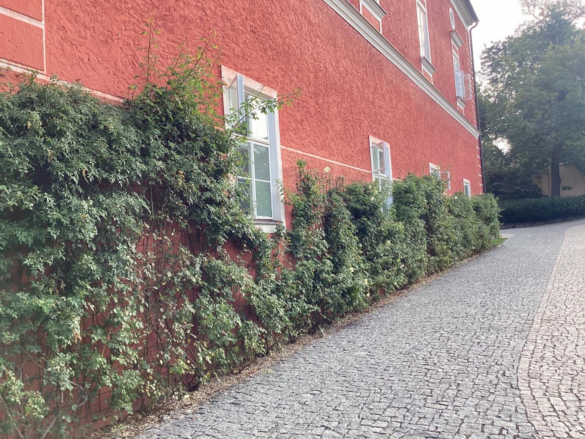 Antonio Residence Škvorec Kültér fotó